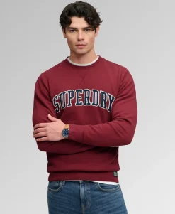 Athletic Applique Relaxed Crew Sweatshirt