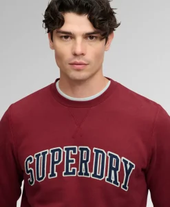Athletic Applique Relaxed Crew Sweatshirt