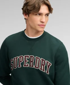Athletic Applique Relaxed Crew Sweatshirt