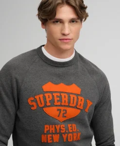 Athletic Felt Applique Crew Neck Sweatshirt