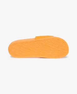 Core Pool Sliders