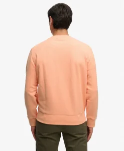 Essential Logo Crew Sweatshirt