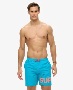 Graphic 17-Inch Swim Shorts