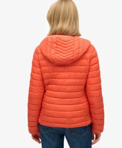 Hooded Fuji Lite Padded Jacket