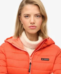 Hooded Fuji Lite Padded Jacket