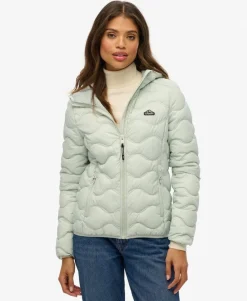Hooded Fuji Lite Wave Padded Jacket