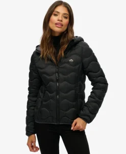 Hooded Fuji Lite Wave Padded Jacket