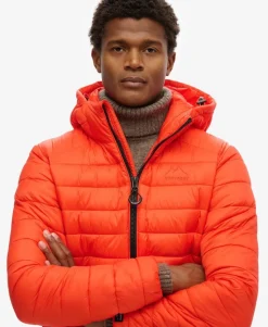 Hooded Fuji Sport Padded Jacket