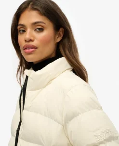 Non Hooded Sports Puffer Jacket