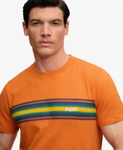 Outdoor Stripe Logo Relaxed T-shirt