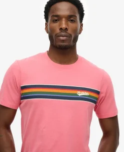 Outdoor Stripe Logo Relaxed T-Shirt