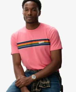 Outdoor Stripe Logo Relaxed T-Shirt