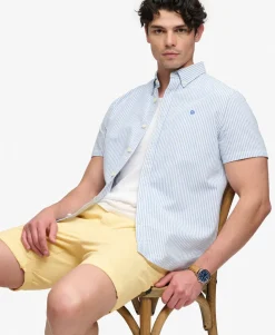 Premium Regular Chino Shorts