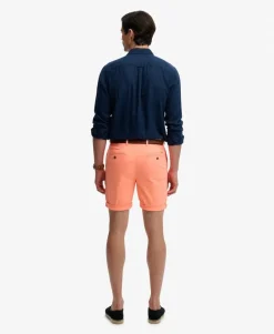Premium Regular Chino Shorts
