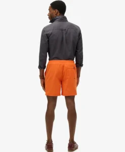 Sport Graphic 17-inch Swim Shorts