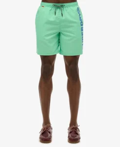 Sport Graphic 17-inch Swim Shorts