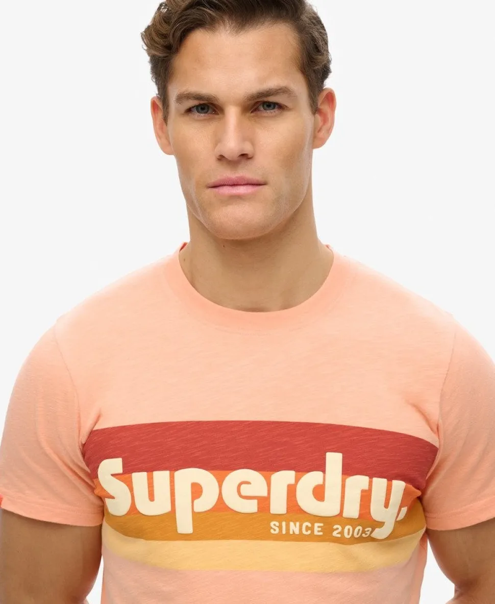 Terrain Logo Stripe Relaxed T-Shirt