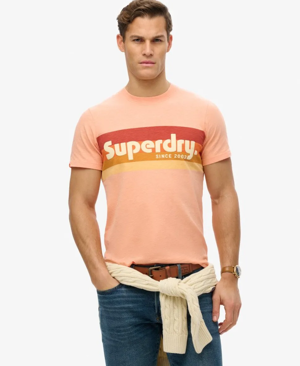 Terrain Logo Stripe Relaxed T-Shirt